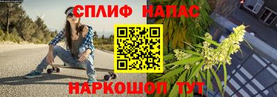 PSILOCYBIN Железногорск