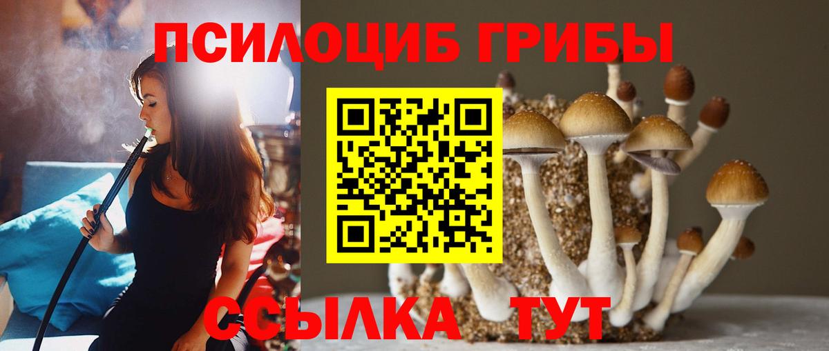 Галлюциногенные грибы Cubensis Гагарин
